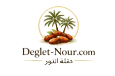 deglet nour