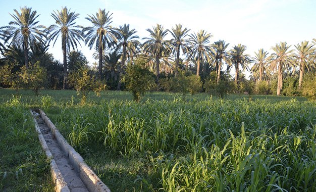 oasis de chenini gabes